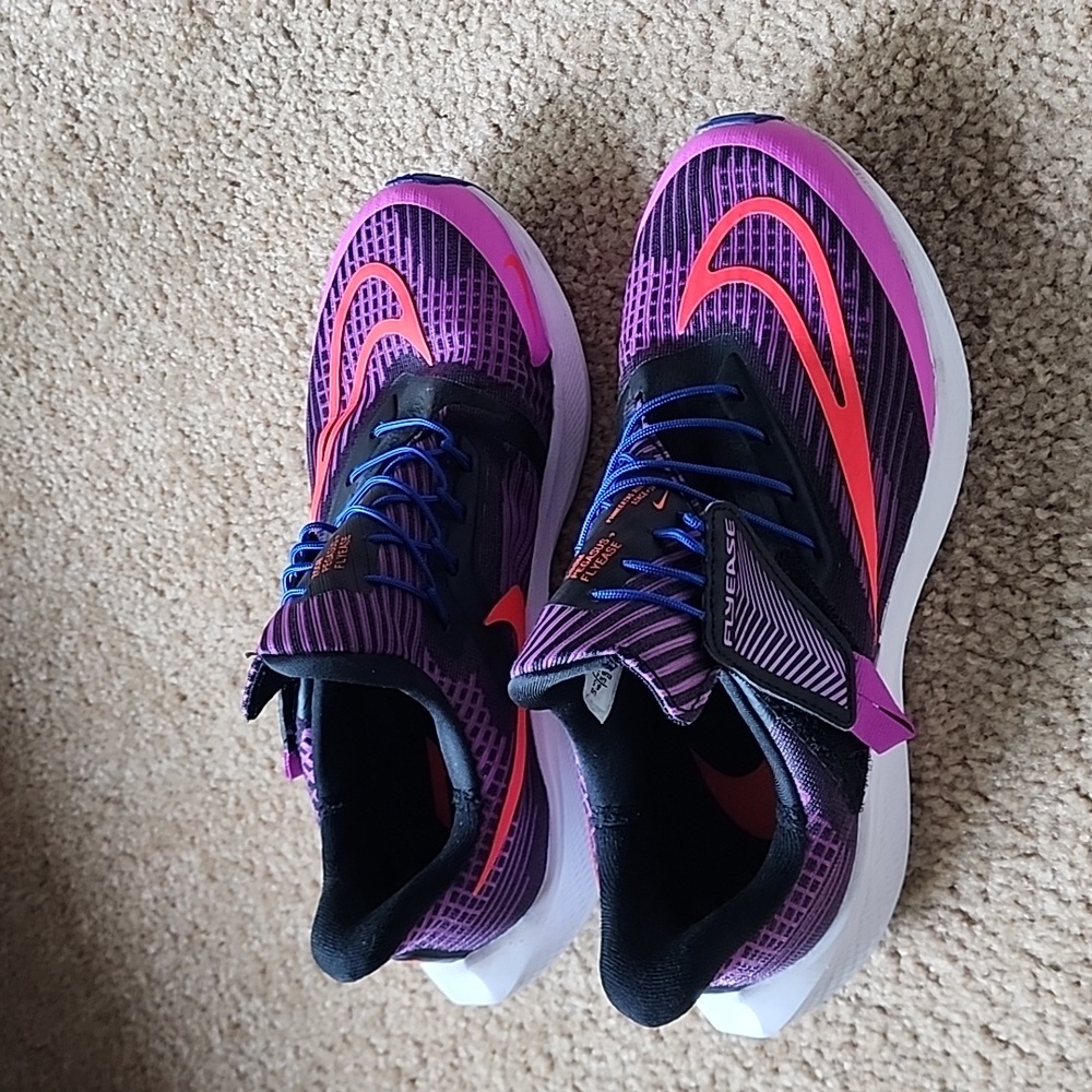 Nike Pegasus FlyEase shoes